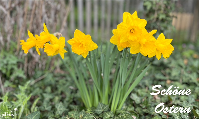 Schöne Ostern 