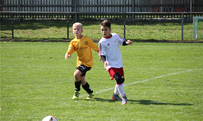 Junioren Ea: Knappe Niederlage gegen den FC Schaffhausen